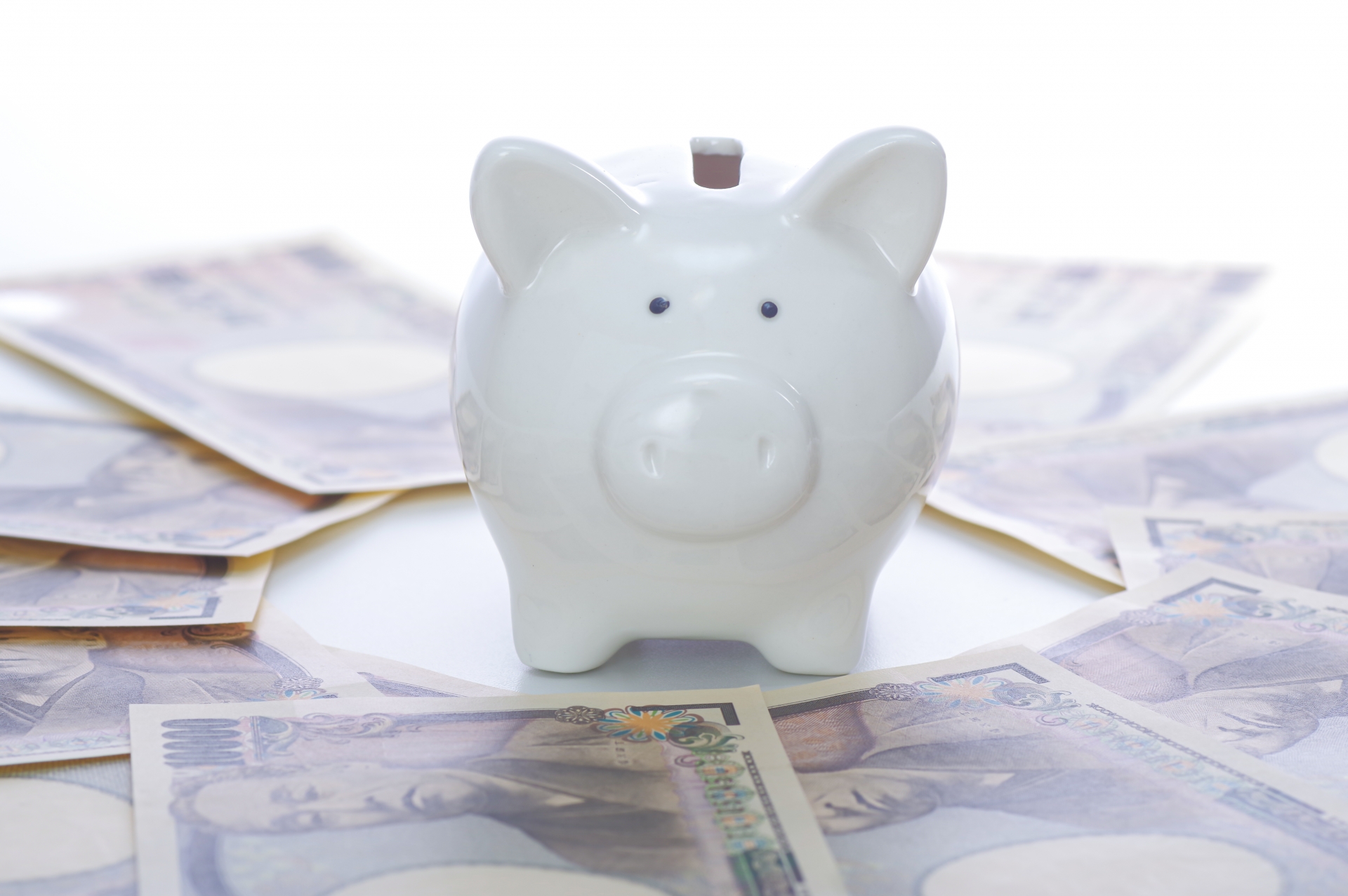 節約生活スペシャリスト