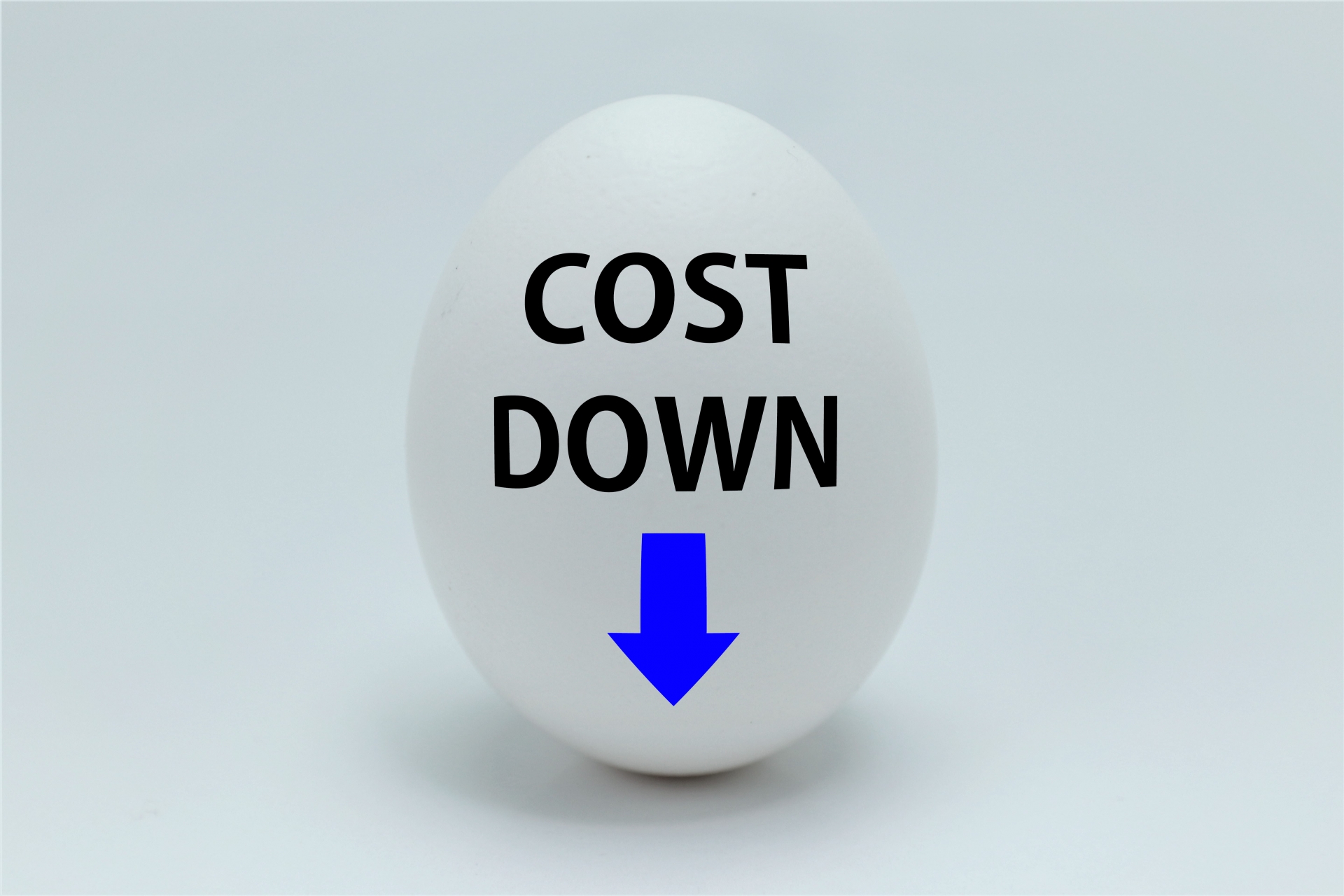 節約生活スペシャリスト